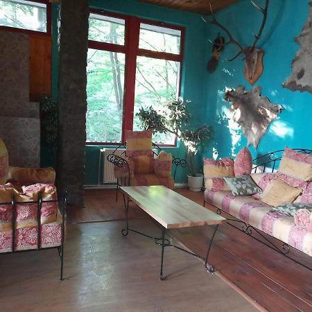 Barlogul Ursilor Lepsa Hotel Luaran gambar