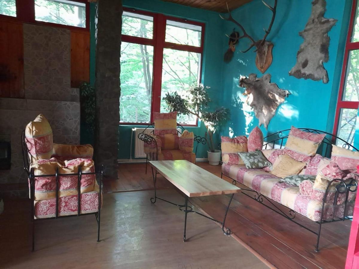 Barlogul Ursilor Lepsa Hotel Luaran gambar