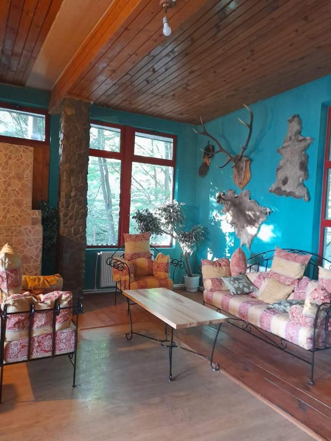 Barlogul Ursilor Lepsa Hotel Luaran gambar