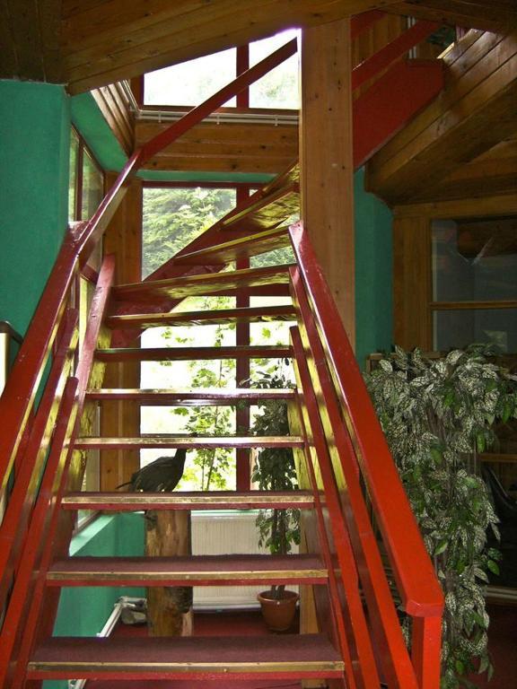 Barlogul Ursilor Lepsa Hotel Luaran gambar