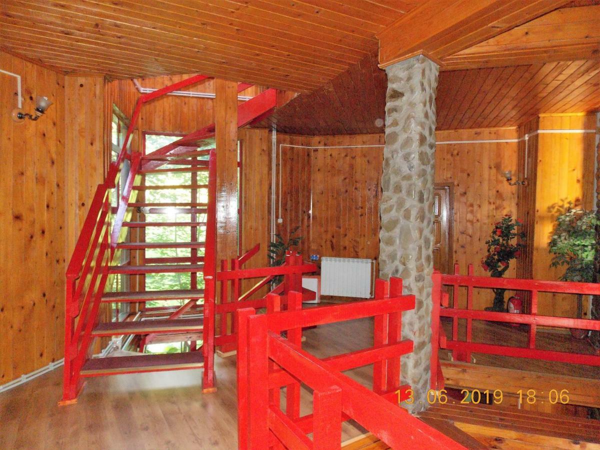 Barlogul Ursilor Lepsa Hotel Luaran gambar